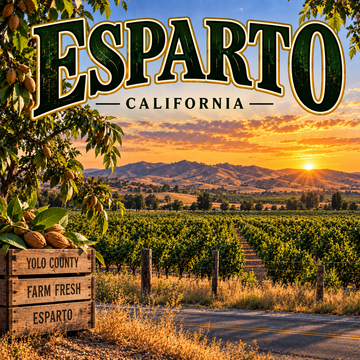 Esparto