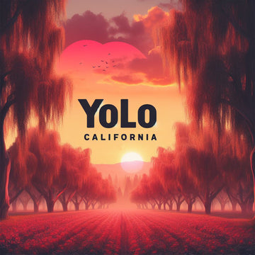 Yolo