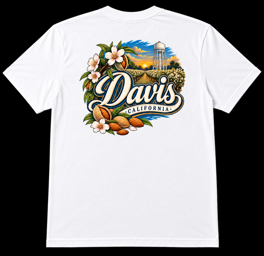 Davis t shirt (almonds)