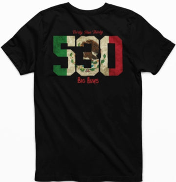 "ORALE 530" T Shirt