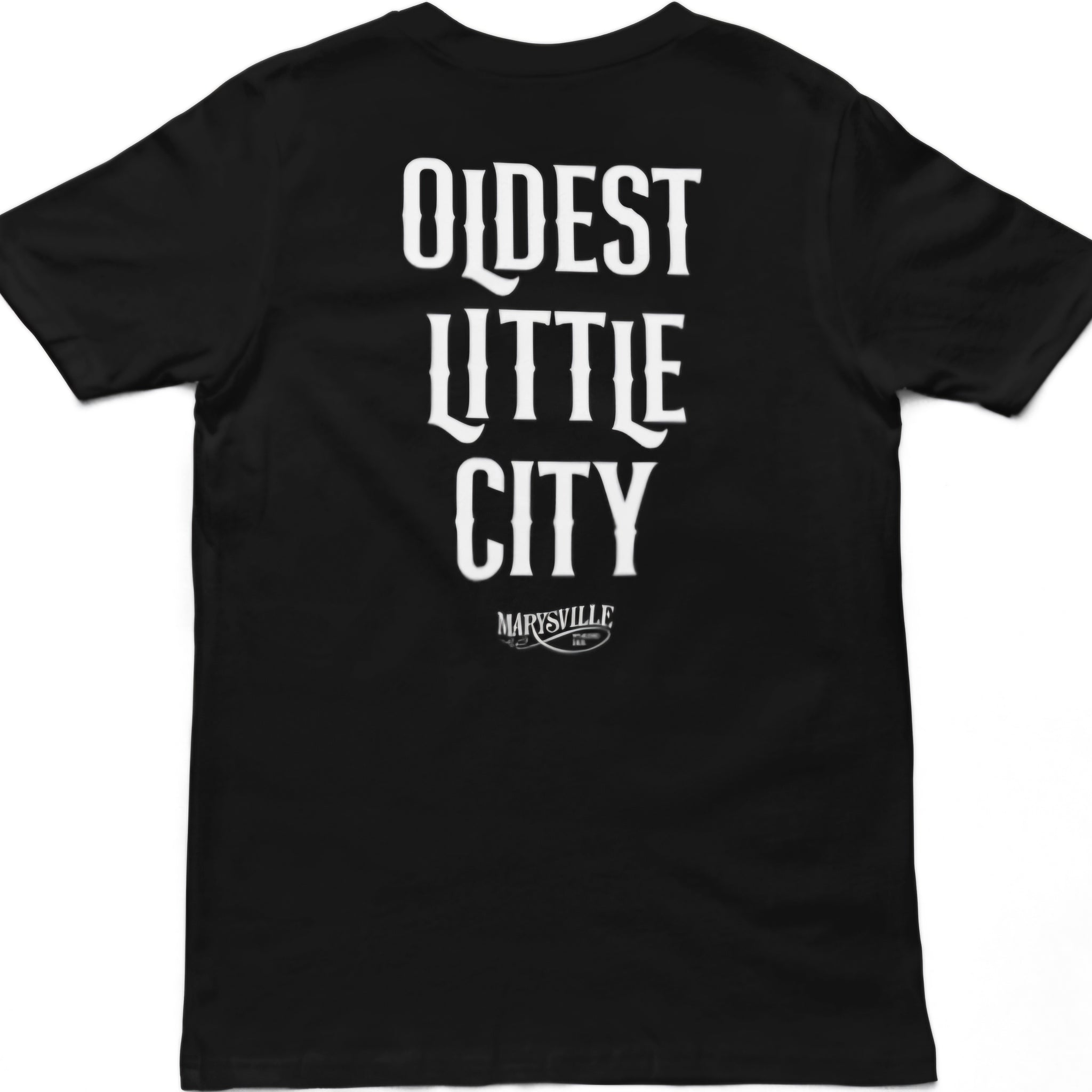 OLDEST LITTLE CITY<br>T-SHIRT