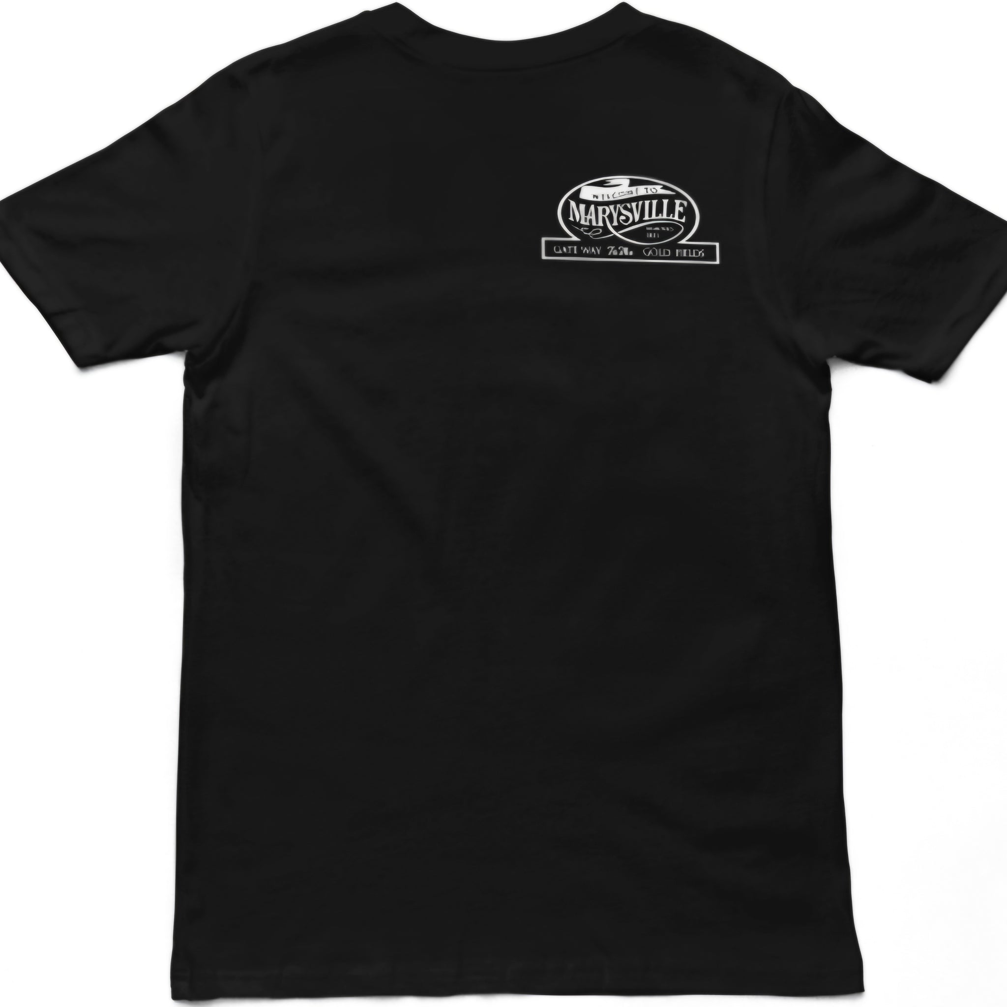Oldest Little City<br>T-Shirt
