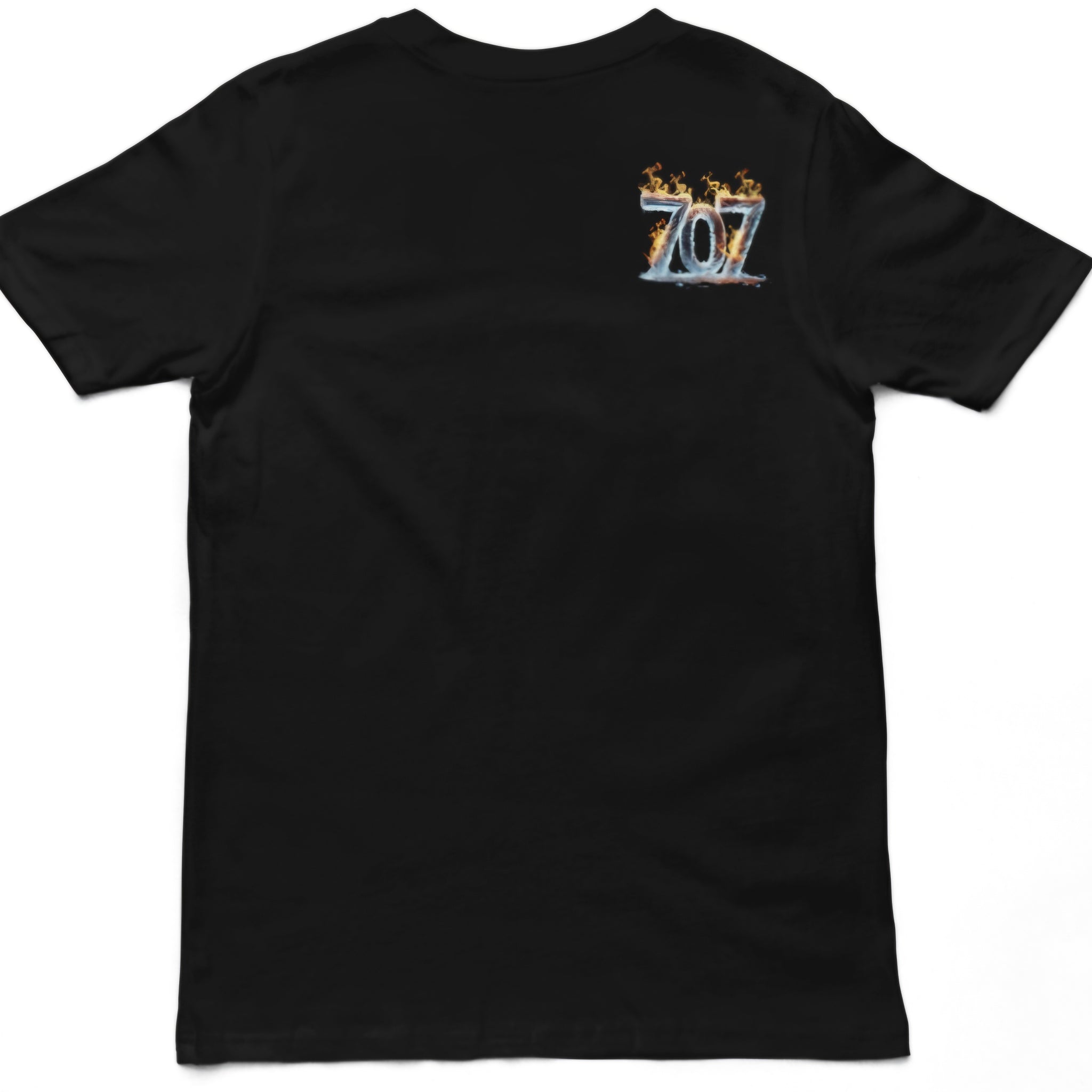 FIRE N ICE<br>T-shirt