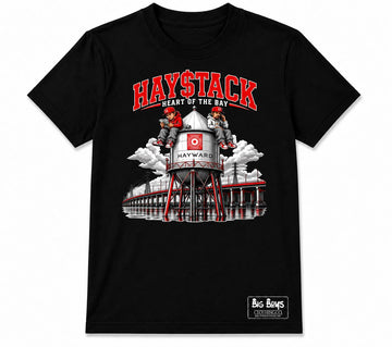 Hayward (HaystackRep)