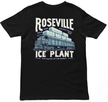 Ice Plant (PFE)