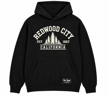 Redwood City hoodie (original)