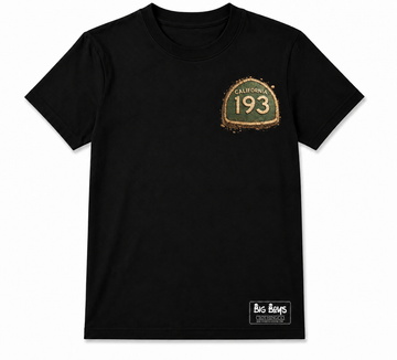 Lincoln t shirt (193)