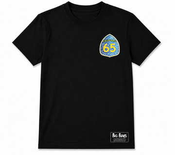 Lincoln t shirt (65 zebra)
