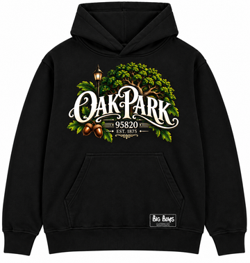 Oak Park hoodie (fresh air)