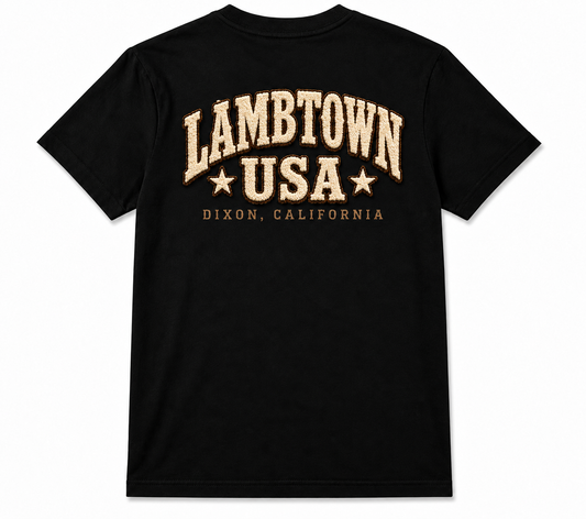 Dixon t shirt (lambtown)
