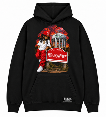 Meadowview hoodie (welcome to the view)