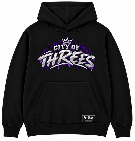 Sacramento Kings hoodie (City of Threes)