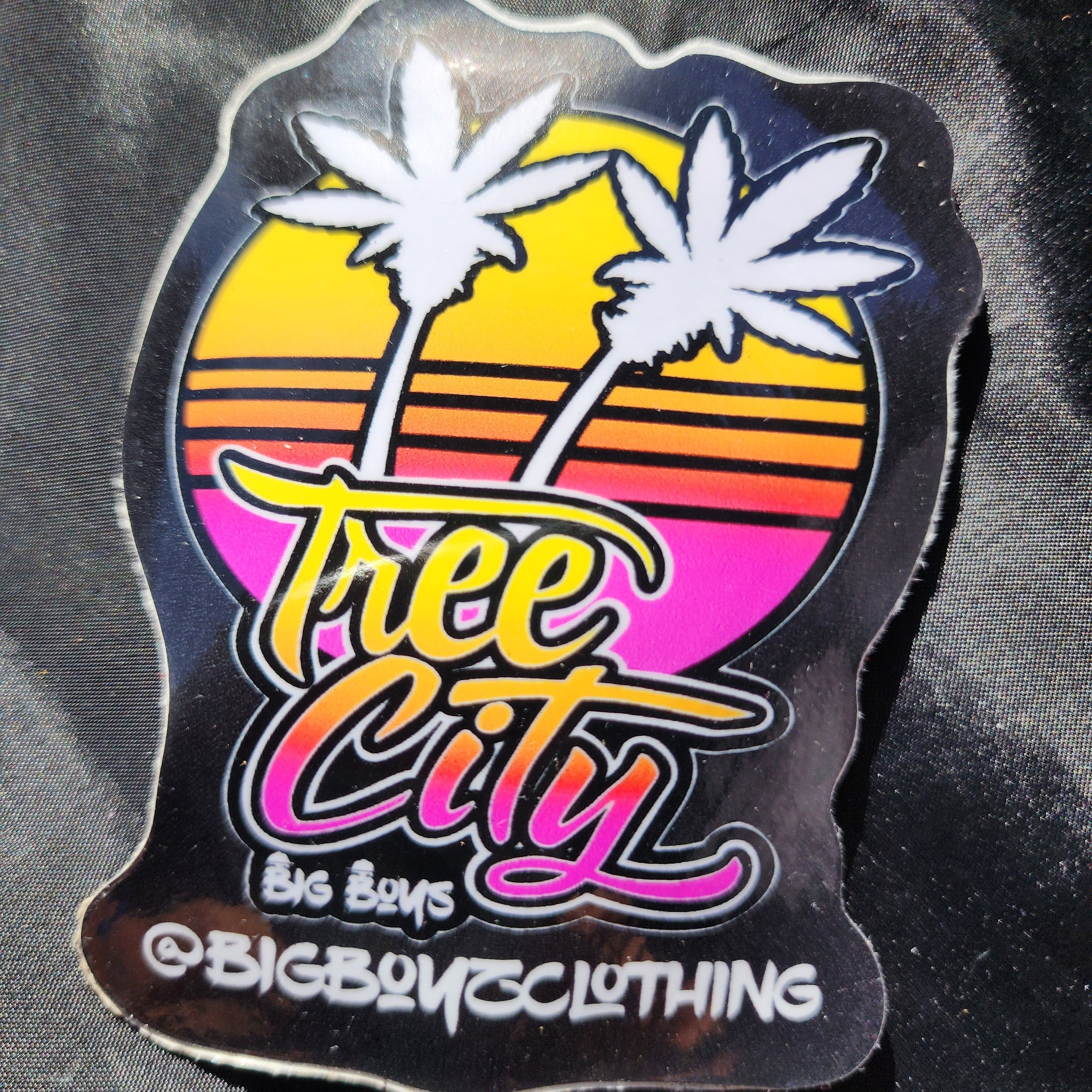 Tree City Palms